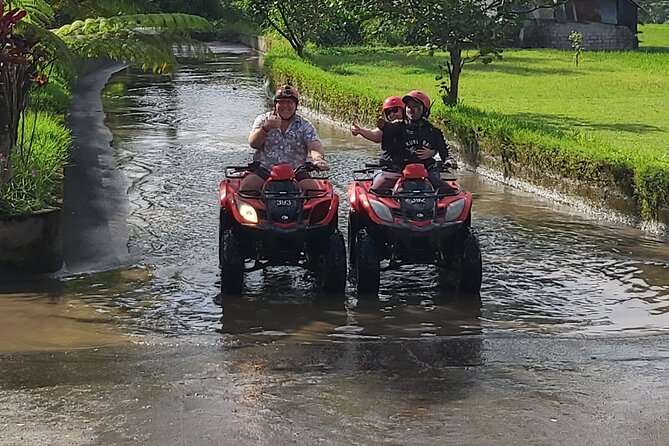 Ubud Bali Driver - Private Driver in Ubud - Pickup, Timing, and Comfort: The Stuff That Determines Your Mood