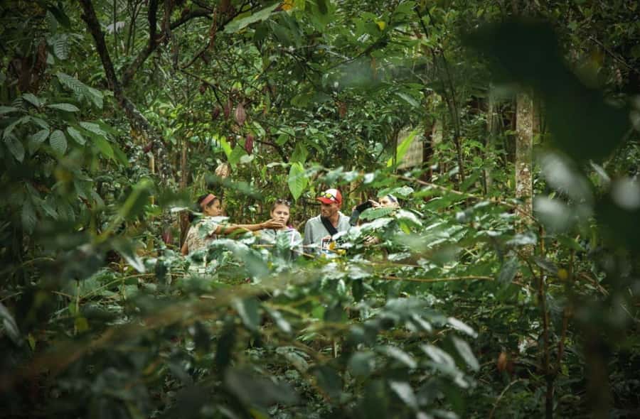 Ubud: Bali Pulina Tour with Swing & Tegallang Rice Terrace - Key things to know before you go