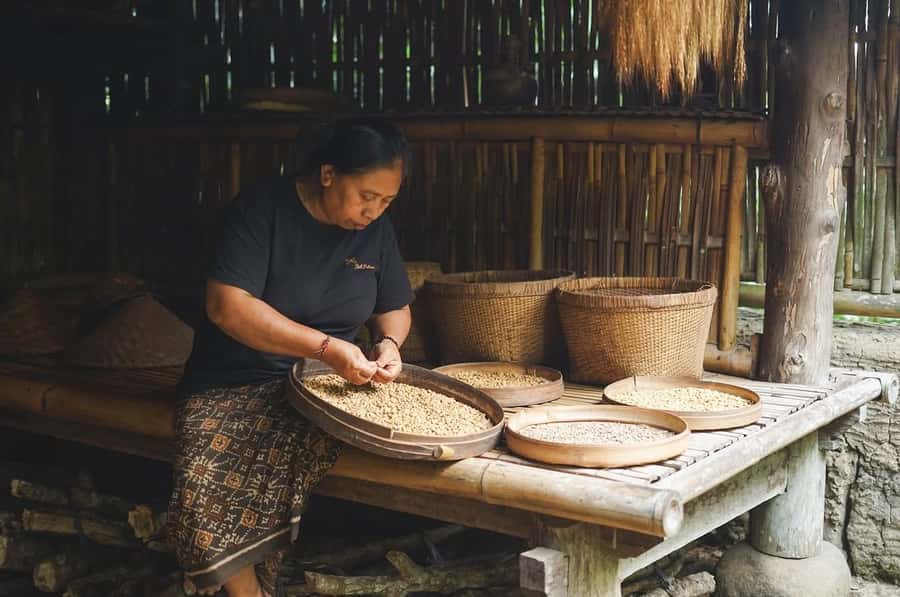 Ubud: Bali Pulina Tour with Swing & Tegallang Rice Terrace - What to bring (and the small things that prevent big annoyances)