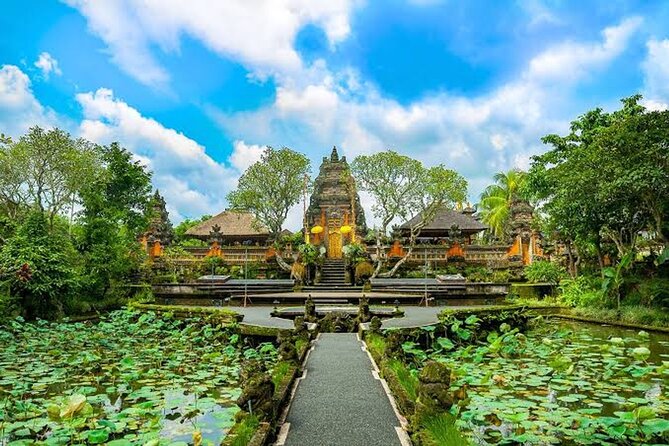 Ubud Bali: Rice Terrace, Waterfall and Tirta empul Day Tour - Best for who: the traveler who wants structure without crowds