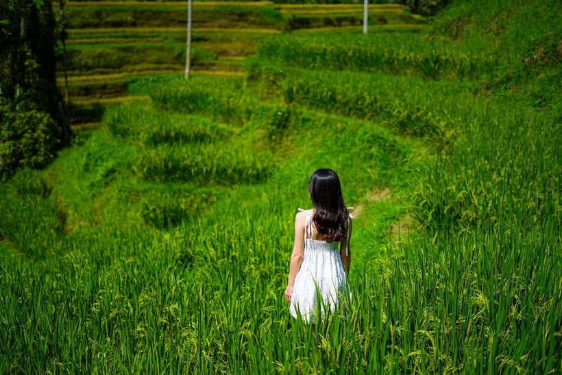 Ubud: Bali Swing hidden waterfall with personal photographer - Tegalalang rice terrace: the classic Ubud shot (without the stress)