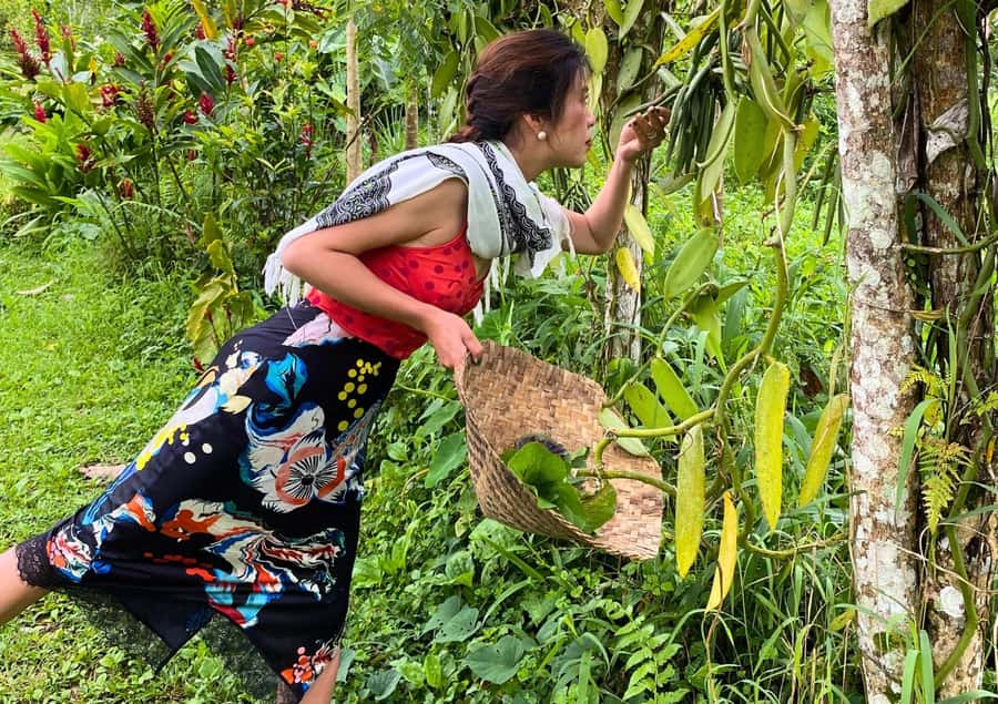 Ubud: Balinese Cooking Class at an Organic Farm - Why This Ubud Class Starts With the Market