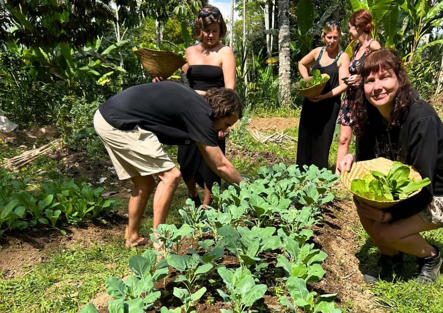 Ubud: Balinese Cooking Class at an Organic Farm - Price and Logistics: Getting Value for $32 and a Full Day