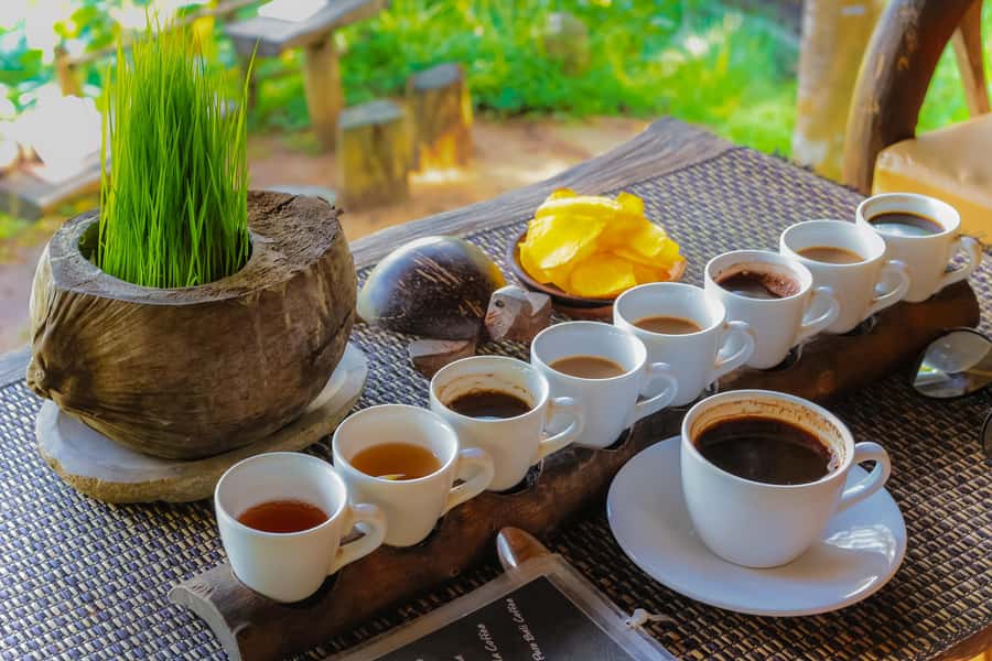 Ubud: Bali's 3 Epic Waterfall, Rice Terrace, and Temple Tour - Tegallalang rice terraces and the swing: views plus a little adrenaline
