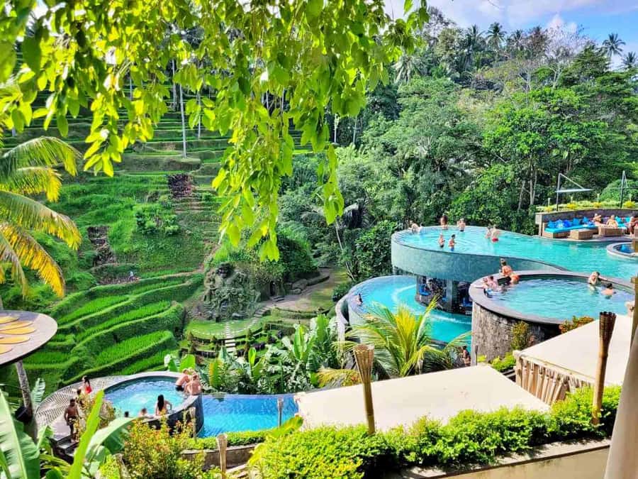 Ubud: Batur Cafe Sunrise, Zip-Line & Cretya Day Club Tour - Price and Value: Is $33 a Fair Deal for This Mix?