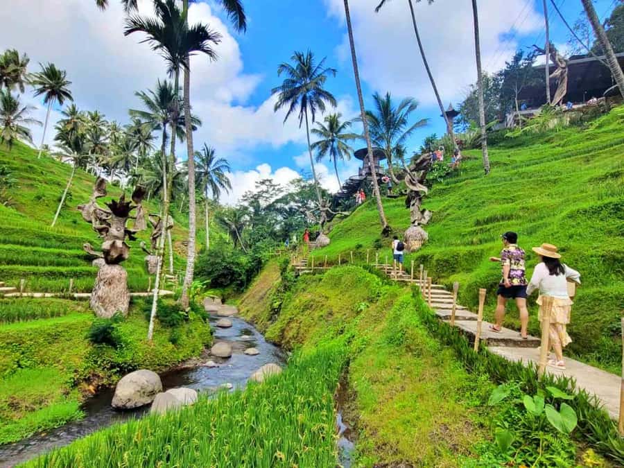 Ubud: Batur Cafe Sunrise, Zip-Line & Cretya Day Club Tour - What to Pack (So the Day Feels Easy, Not Annoying)