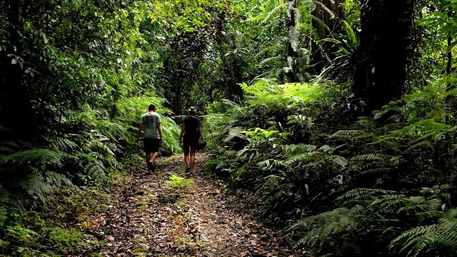 Ubud: Bayad Village, Waterfall and Cave Trek Adventure - Key highlights at a glance