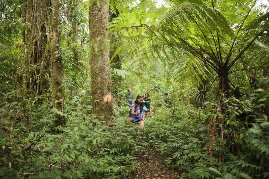 Ubud: Bayad Village, Waterfall and Cave Trek Adventure - Bayad Village to caves and waterfalls: what this 6-hour trek is really like