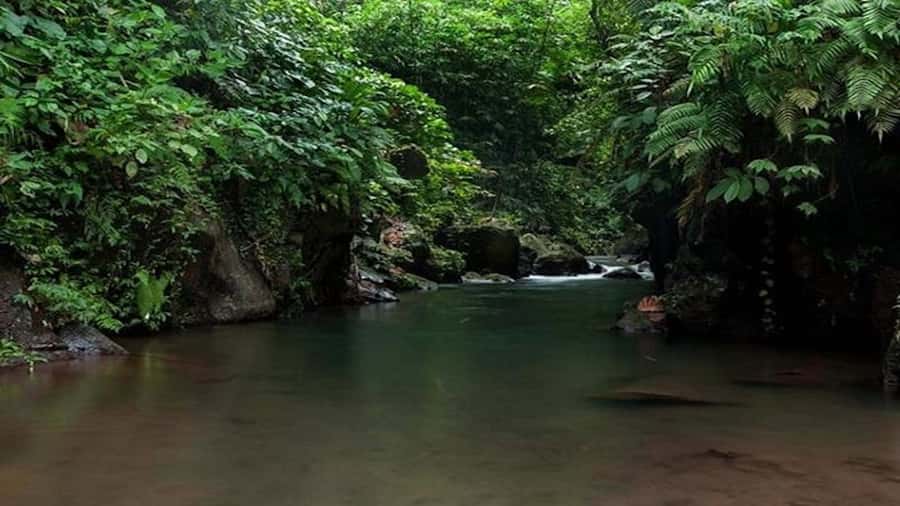 Ubud: Bayad Village, Waterfall and Cave Trek Adventure - Caves and waterfalls: pacing, rain risk, and how to enjoy it