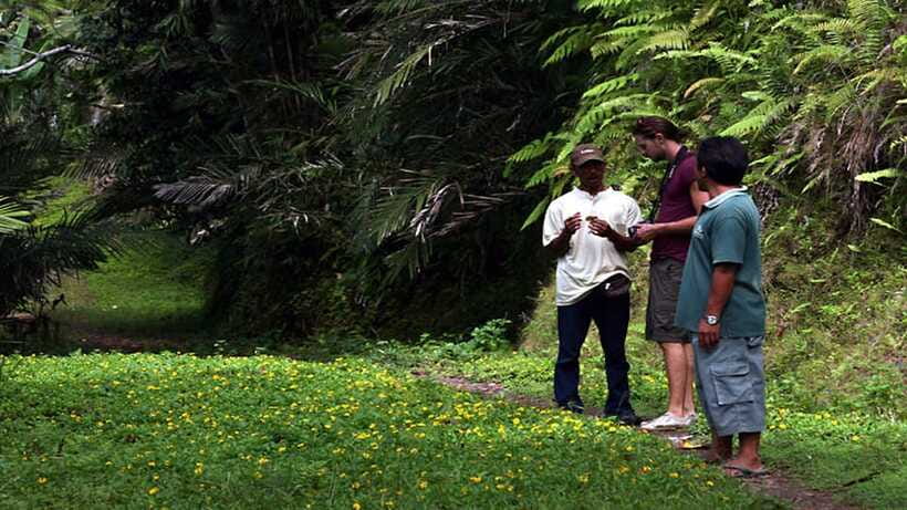 Ubud: Bayad Village, Waterfall and Cave Trek Adventure - Bayad Village walking: the part you’ll remember after the photos