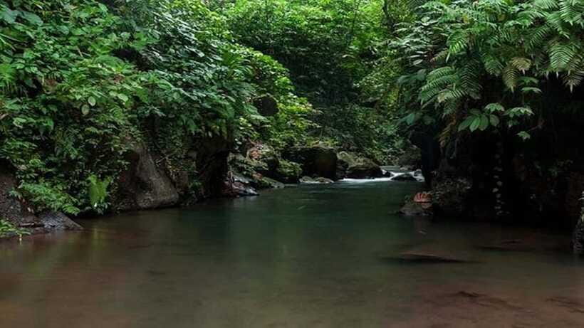 Ubud: Bayad Village, Waterfall and Cave Trek Adventure - Lunch in Petanu Valley: refuel without losing the outdoor rhythm