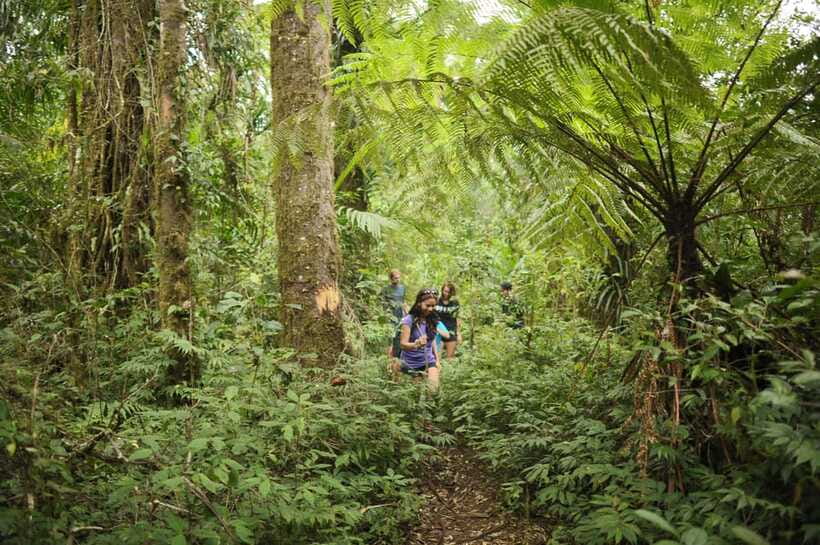 Ubud: Bayad Village, Waterfall and Cave Trek Adventure - Who this trek suits best (and who should think twice)