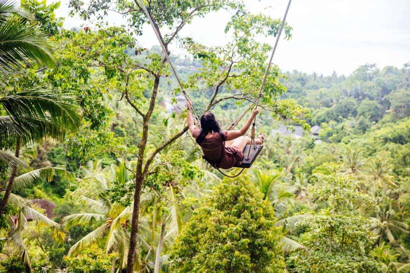 Ubud: Best of Ubud Full-Day Tour with Entry Tickets - Price and value: why $47 covers the hard parts