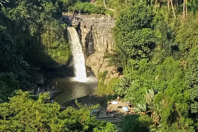 Ubud Best Tour - Tegenungan Waterfall: your first big nature payoff (and swim break)