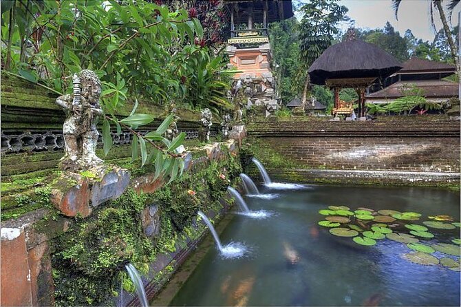 Ubud Best Tour - Tegalalang Rice Terrace: classic views, plus time to actually walk