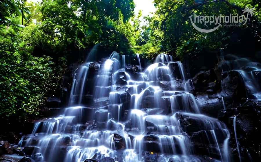 Ubud - Best Waterfall Tour & Bali Swing - Key things to know before you go
