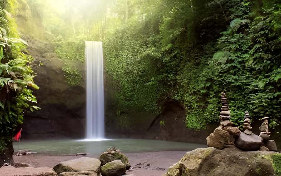 Ubud - Best Waterfall Tour & Bali Swing - Bali Swing: the best “wow” moment to kick off the day