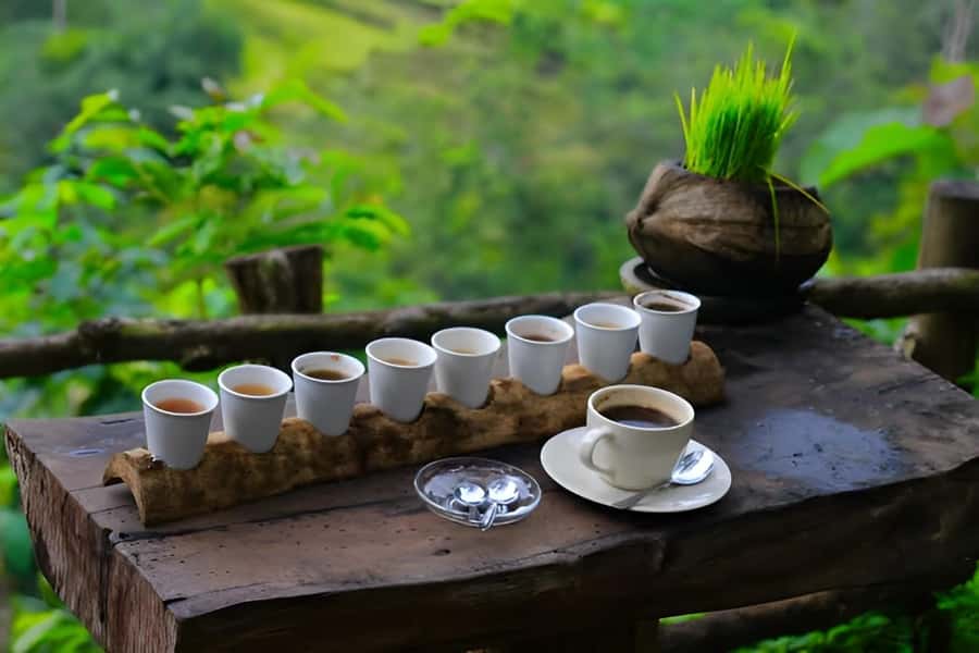 Ubud - Best Waterfall Tour & Bali Swing - Coffee plantation break: what you’re tasting (and why it’s worth it)