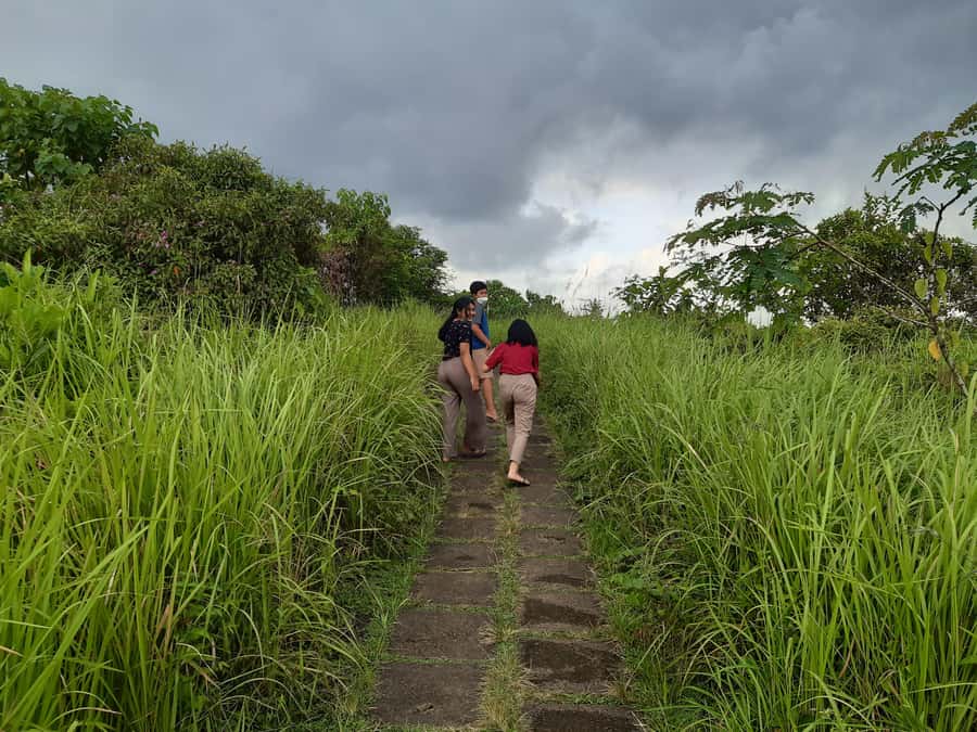 Ubud: Campuhan Ridge Walk, Tegallalang Rice Terrace & More - Key Takeaways Before You Go