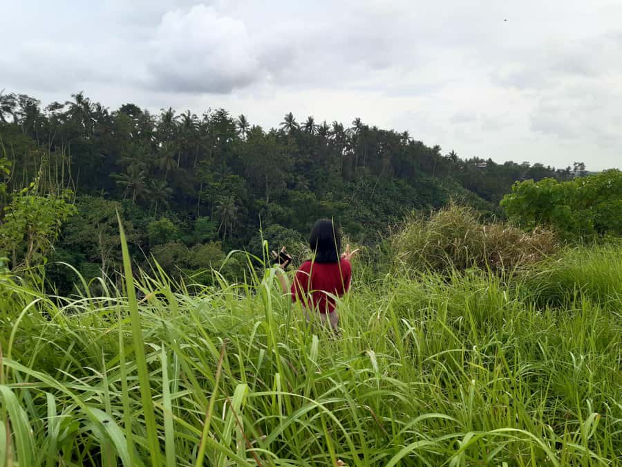 Ubud: Campuhan Ridge Walk, Tegallalang Rice Terrace & More - How a 9-Hour Ubud Day Like This Really Feels