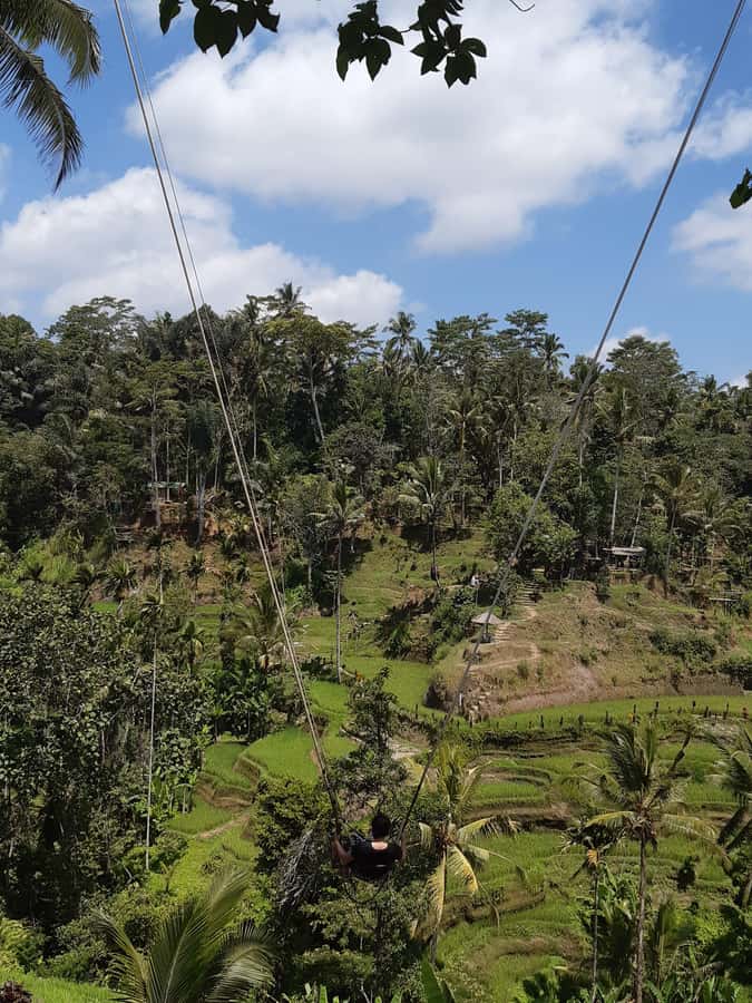 Ubud: Campuhan Ridge Walk, Tegallalang Rice Terrace & More - Coffee Tasting in Ubud: A Sweet, Practical Pause