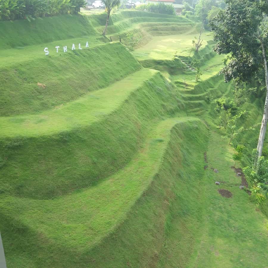 Ubud: Campuhan Ridge Walk, Tegallalang Rice Terrace & More - Price and Logistics: Why This Day Can Be Worth $34