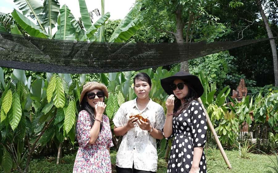 Ubud: Chocolate Workshop, Class & Tasting - Chocolate Tasting Like a Pro (Without Acting Like One)