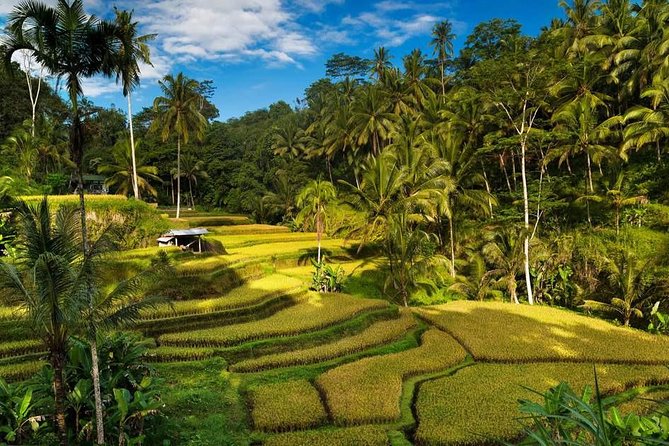 Ubud City Tour II: Monkey Forest, Palace, Art Market, and Rice Terrace - Ubud Traditional Art Market: Souvenirs, Textiles, and Easy Browsing Time