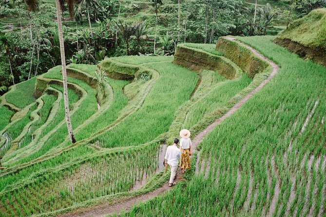 Ubud City Tour II: Monkey Forest, Palace, Art Market, and Rice Terrace - Drivers and Service Style: Friendly, Often Informative, Not Always a Full Guide