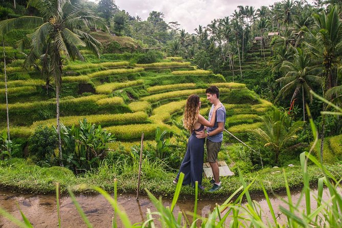 Ubud City Tour II: Monkey Forest, Palace, Art Market, and Rice Terrace - Sacred Monkey Forest Sanctuary: A Temple Complex With About 340 Macaques