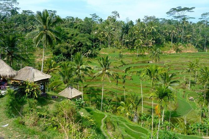 Ubud Combine Mount Batur Kintamani Tour - Tegenungan Waterfall: famous, but the schedule gives you breathing room