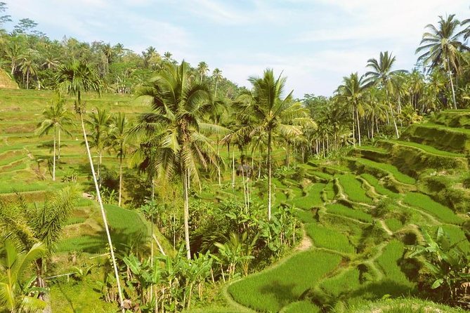 Ubud Combine Mount Batur Kintamani Tour - Who should book this tour (and who should skip it)