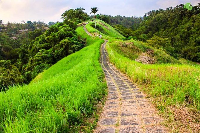 Ubud Countryside Tour: Campuhan Ridge Walk and Rice Terrace - A Day Off the Beach: How Ubud Countryside Changes the Mood