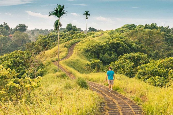 Ubud Countryside Tour: Campuhan Ridge Walk and Rice Terrace - Campuhan Ridge Walk: An Easy Trek With Big Rewards
