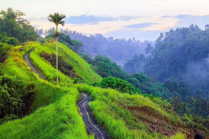 Ubud Countryside Tour: Campuhan Ridge Walk and Rice Terrace - Tegenungan Waterfall: The Cooling Finish to a Busy Day