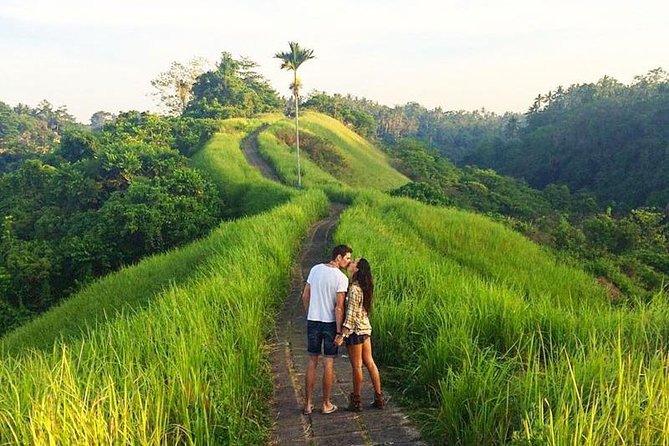 Ubud Countryside Tour: Campuhan Ridge Walk and Rice Terrace - Coffee Plantation Stop: A Tasty End That Feels Local