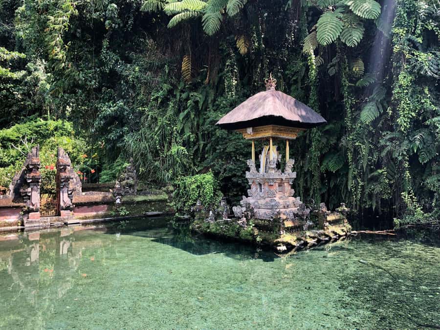 Ubud: Cretya Infinity Pool, Hidden Waterfall & Water Temple - Cretya Ubud Infinity Pool: the swim stop that sets the tone
