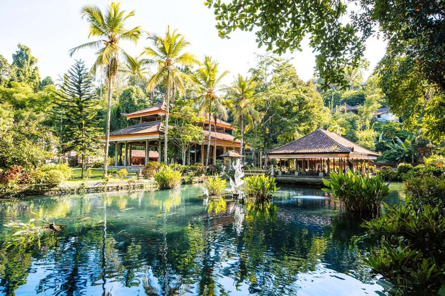 Ubud: Cretya Infinity Pool, Hidden Waterfall & Water Temple - OKA Agriculture Bali: coffee and tea tasting with real-world expectations
