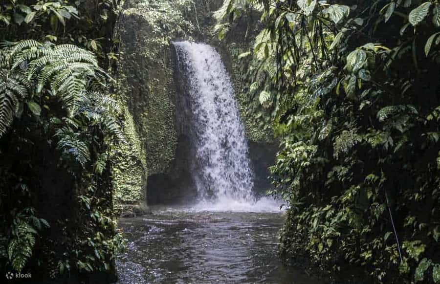 Ubud: Cretya Infinity Pool, Hidden Waterfall & Water Temple - How the day actually runs: pickup timing, pacing, and what to pack