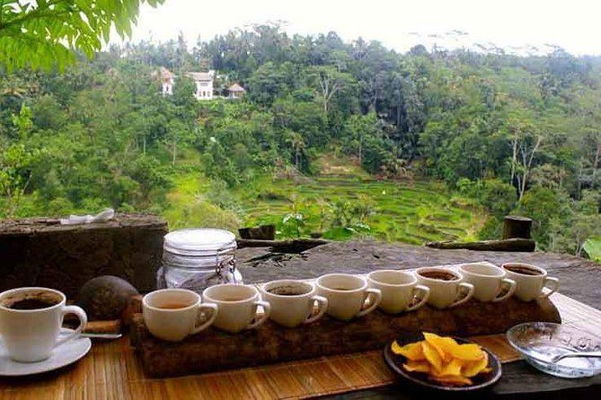 Ubud Cultural Tour - Stop 3: Sacred Monkey Forest Sanctuary and the 700-monkey reality