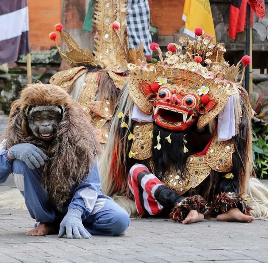 Ubud: Customised private day trip with personal driver - Key things I’d highlight before you book