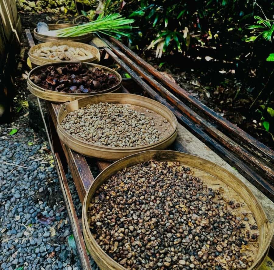 Ubud: Customised private day trip with personal driver - Batuan Temple and Tirta Empul: sacred stops that need context