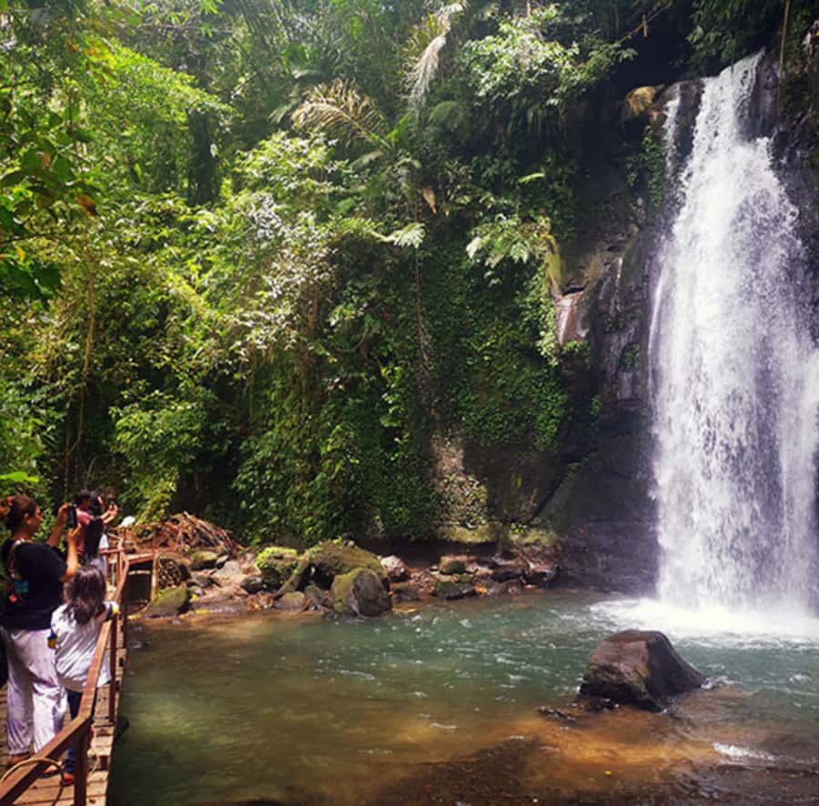 Ubud: Customised private day trip with personal driver - Monkey Forest and the art villages: day-long culture without the script