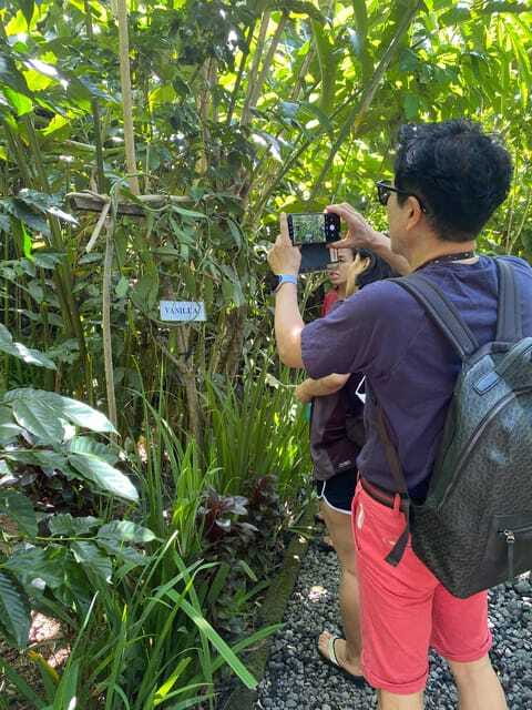 Ubud: Customised private day trip with personal driver - Waterfalls and that extra “water moment” idea