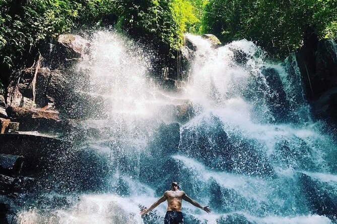 Ubud Customized Full Day Tour - Visit Most favorite In Ubud - Price and what your budget needs to cover