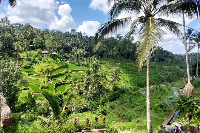 Ubud Customized Private Tour - Optional Bonus: Tanah Lot Sunset If Time Allows