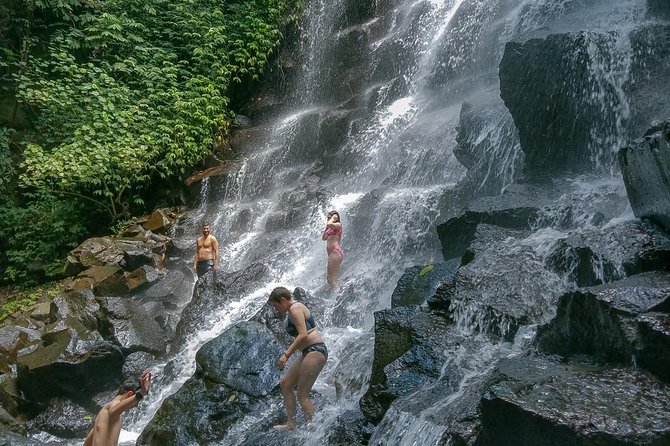 Ubud Customized Private Tour - Who This Tour Is Best For (And Who Might Prefer Something Else)