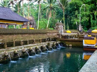 Ubud Customized Tour-Ubud Charter - How The Day Flows: From Rice Terraces to Ubud Markets