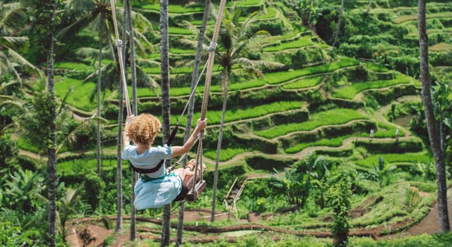 Ubud: Customized Ubud Tour With Private Car - Customized Ubud Day: Private Car + Your Choice of Stops