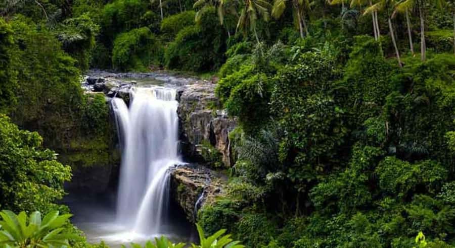 Ubud: Customized Ubud Tour With Private Car - Private Car Comfort (Air-Conditioned, Max 4): Why It’s Worth Paying For